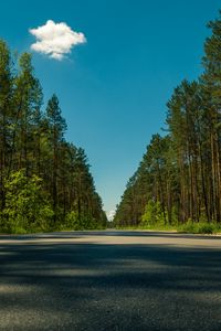 Превью обои дорога, деревья, лето