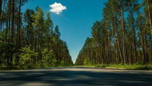 Превью обои дорога, деревья, лето