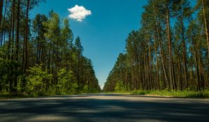 Превью обои дорога, деревья, лето