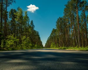 Превью обои дорога, деревья, лето