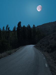 Превью обои дорога, деревья, луна, ночь