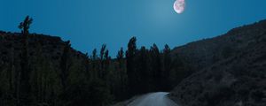Превью обои дорога, деревья, луна, ночь