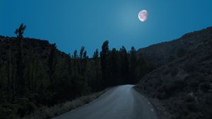 Превью обои дорога, деревья, луна, ночь