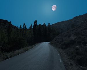 Превью обои дорога, деревья, луна, ночь