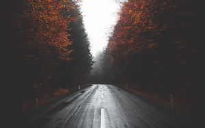 Превью обои дорога, деревья, осень, туман, поворот, асфальт