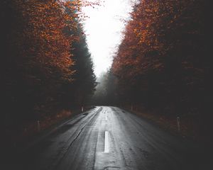 Превью обои дорога, деревья, осень, туман, поворот, асфальт