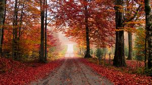 Превью обои дорога, деревья, осень, листва, опавший