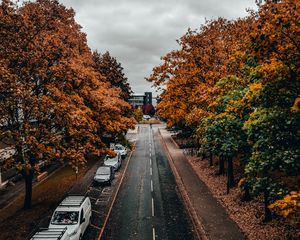 Превью обои дорога, деревья, осень, улица, аллея
