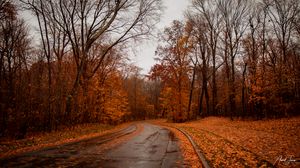 Превью обои дорога, деревья, осень, природа