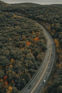 Превью обои дорога, деревья, осень, машина, разметка