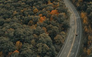 Превью обои дорога, деревья, осень, машина, разметка