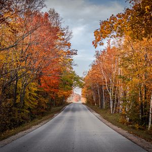 Превью обои дорога, деревья, осень, природа, вид