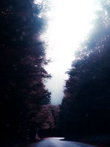 Превью обои дорога, деревья, поворот