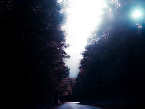 Превью обои дорога, деревья, поворот