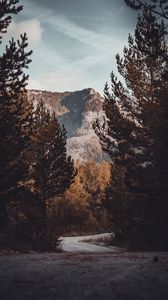 Превью обои дорога, деревья, поворот, осень