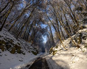 Превью обои дорога, деревья, природа, лес, снег, зима, пейзаж