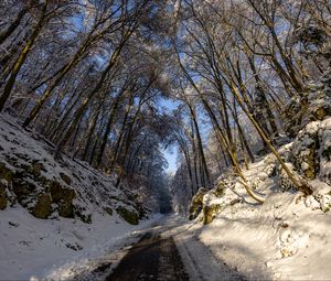 Превью обои дорога, деревья, природа, лес, снег, зима, пейзаж