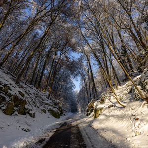 Превью обои дорога, деревья, природа, лес, снег, зима, пейзаж