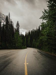 Превью обои дорога, деревья, природа, асфальт