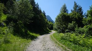 Превью обои дорога, деревья, природа, гора