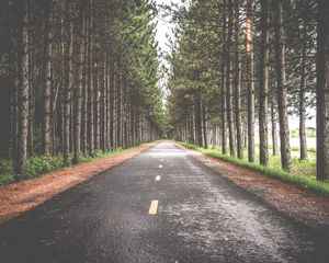 Превью обои дорога, деревья, разметка