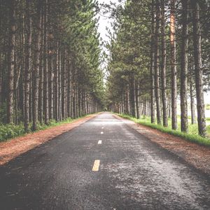 Превью обои дорога, деревья, разметка