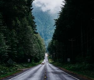 Превью обои дорога, деревья, разметка, туман, лес, движение