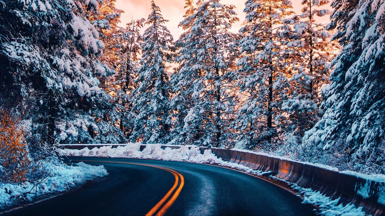 Обои дорога, деревья, снег, закат, поворот