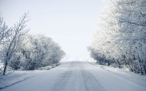 Превью обои дорога, деревья, снег, зима, заснеженный