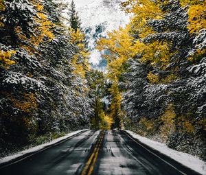 Превью обои дорога, деревья, снег, гора, вершина