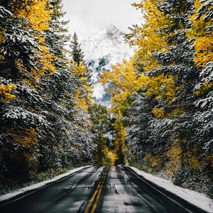 Превью обои дорога, деревья, снег, гора, вершина