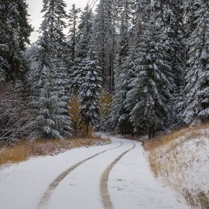 Превью обои дорога, деревья, снег, лес, зима