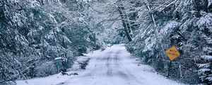 Превью обои дорога, деревья, снег, зима, белый