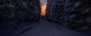 Превью обои дорога, деревья, снег, зима, сумерки, темный