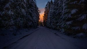 Превью обои дорога, деревья, снег, зима, сумерки, темный