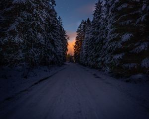 Превью обои дорога, деревья, снег, зима, сумерки, темный