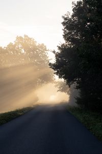Превью обои дорога, деревья, солнечный свет, туман, природа
