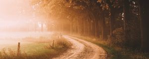 Превью обои дорога, деревья, туман, солнечный свет, утро, пейзаж