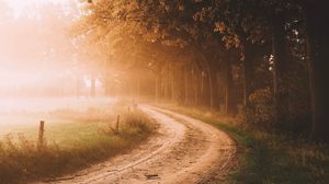 Превью обои дорога, деревья, туман, солнечный свет, утро, пейзаж