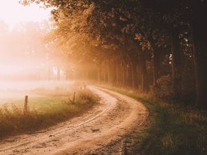 Превью обои дорога, деревья, туман, солнечный свет, утро, пейзаж