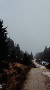 Превью обои дорога, деревья, туман, природа