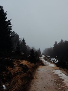 Превью обои дорога, деревья, туман, природа