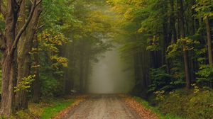Превью обои дорога, деревья, туман, лес