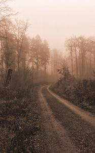 Превью обои дорога, деревья, туман, мрак, природа