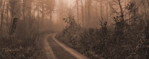 Превью обои дорога, деревья, туман, мрак, природа