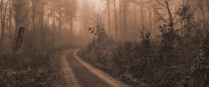 Превью обои дорога, деревья, туман, мрак, природа