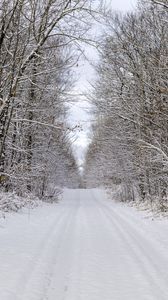 Превью обои дорога, деревья, ветки, снег, зима, природа