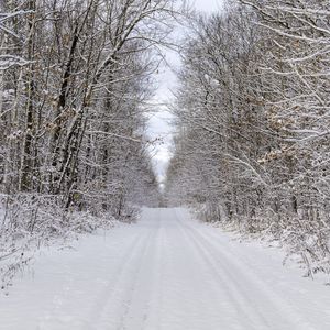 Превью обои дорога, деревья, ветки, снег, зима, природа