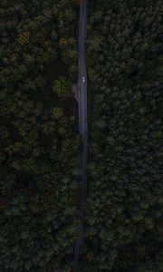 Превью обои дорога, деревья, вид сверху, лес