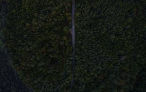 Превью обои дорога, деревья, вид сверху, лес